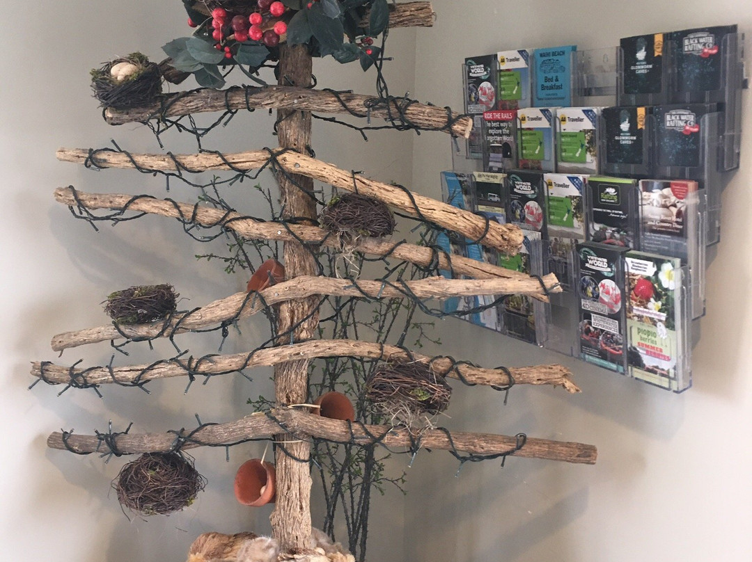 FatOwl Motel, Bar & Eatery主图