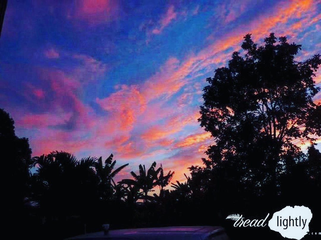 Tread Lightly Kauai Tours- Private Day Tours景点图片