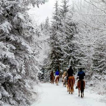 Nature's Mountain Playground - Pocahontas County-Marlinton必去景点