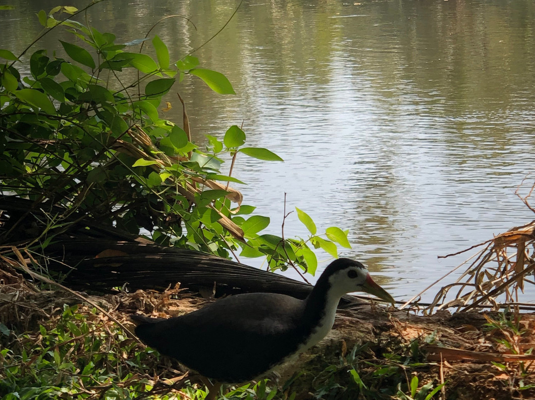 Suri Retreat Villa主图