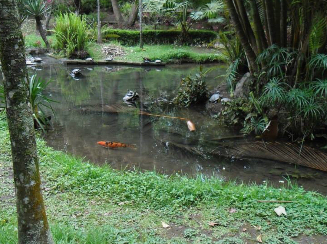 Parque de los Tecajetes景点图片