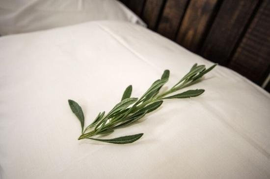 Chapter House Boutique Hotel主图