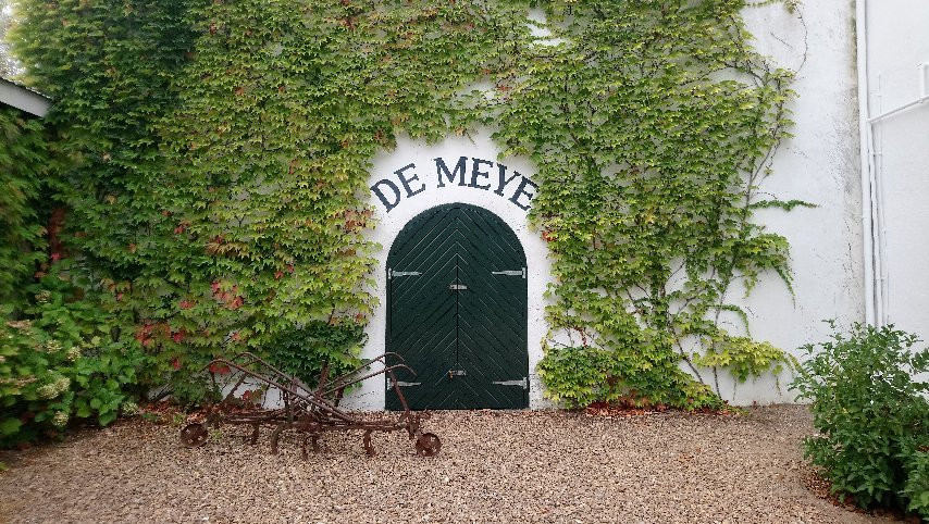 De Meye Wines-斯泰伦博斯必去景点