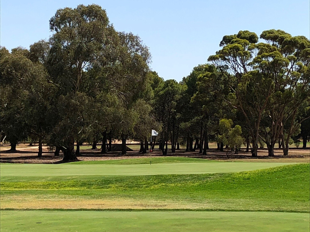 Kapunda Golf Club景点图片