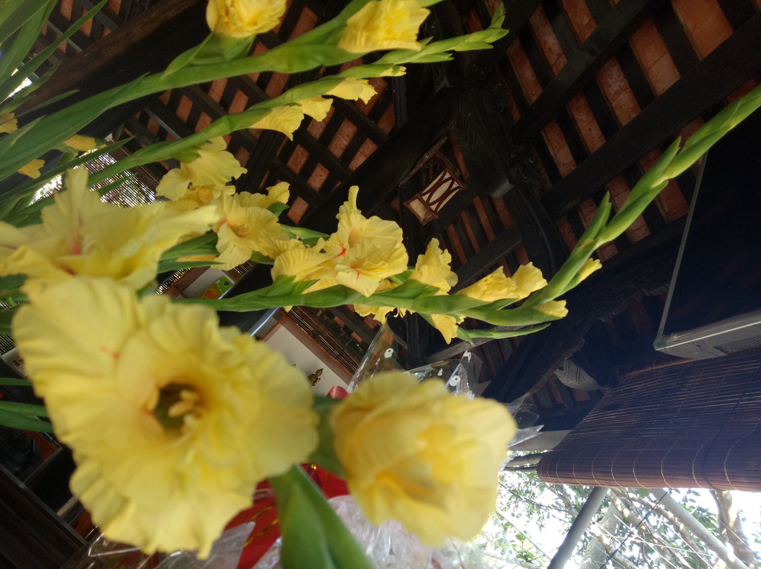 谭静园民宿主图