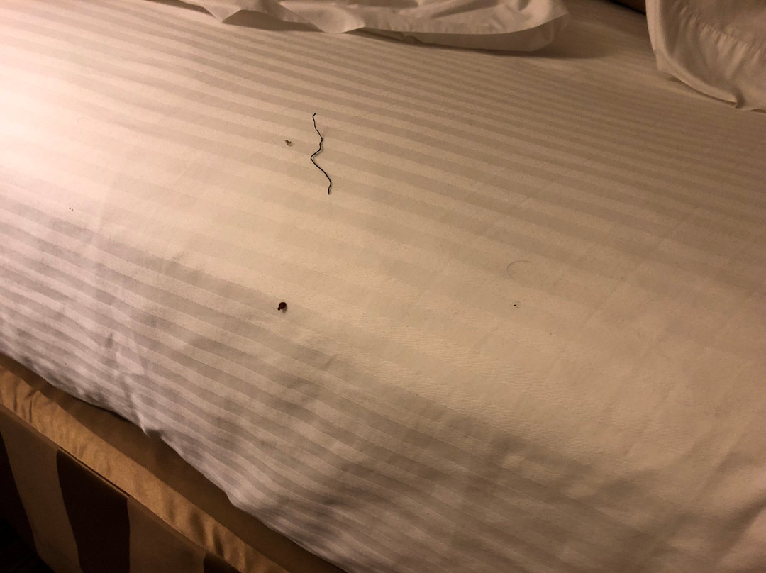 Wingate by Wyndham Streetsboro/Cleveland Southeast主图