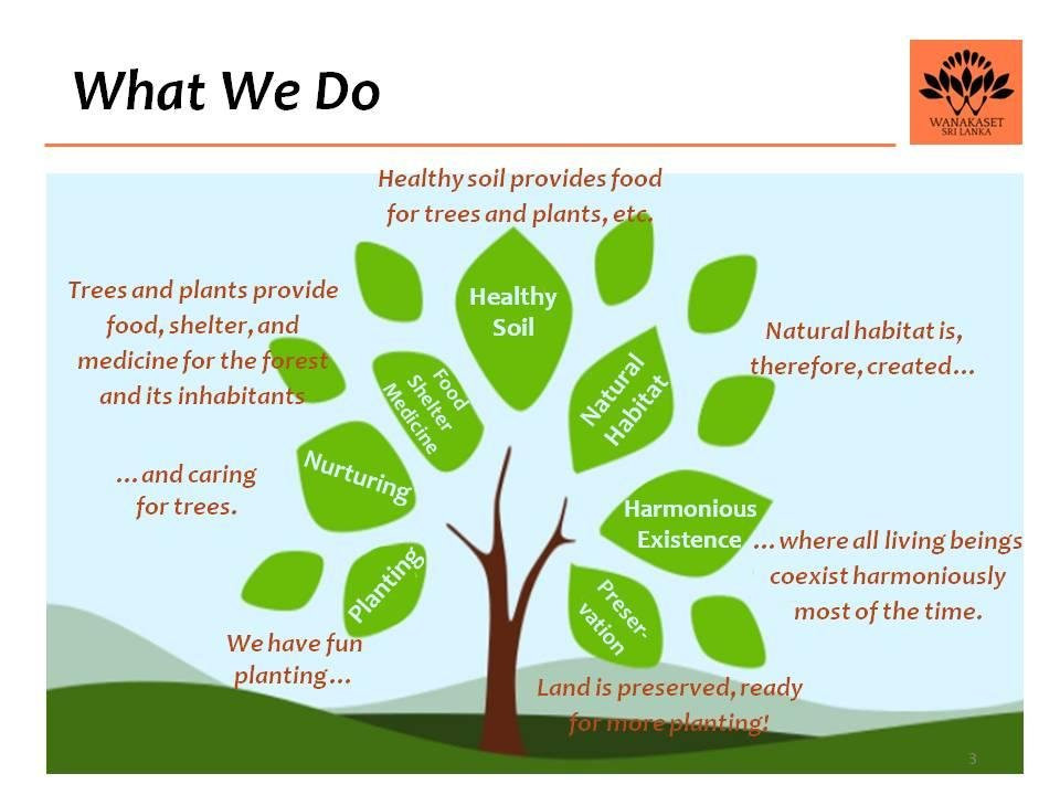 Wanakaset Sri Lanka-Kitulgala必去景点