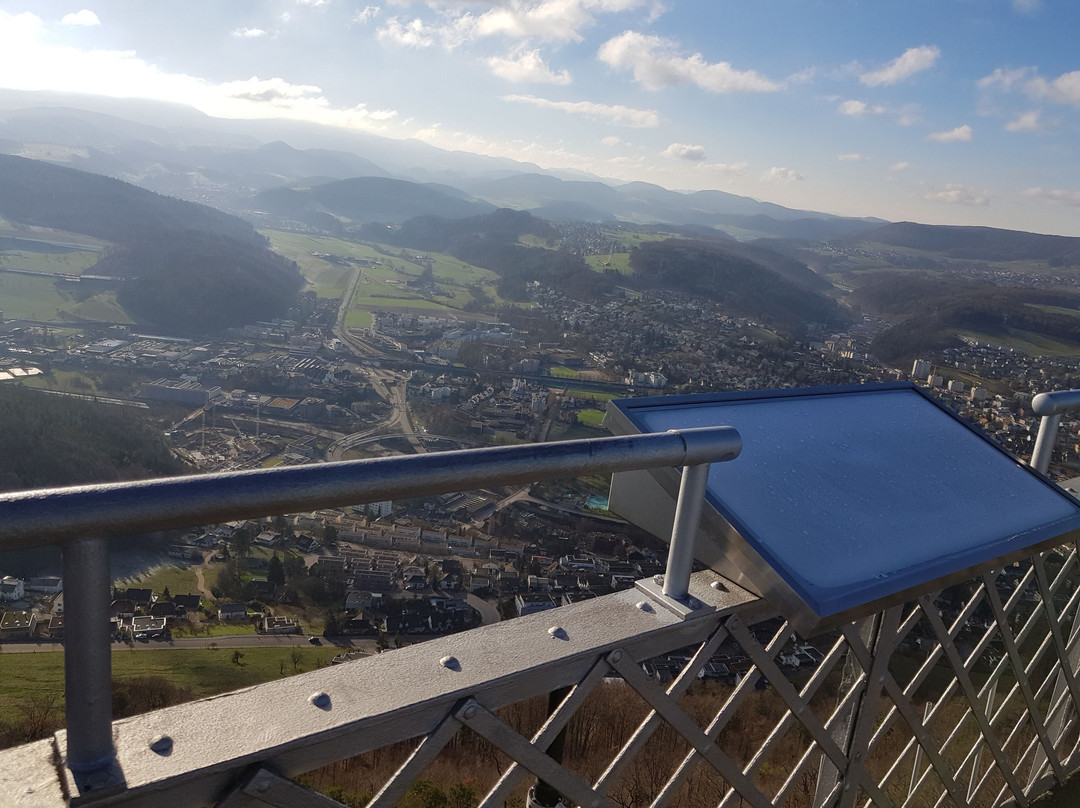 Aussichtsturm Schleifenberg景点图片