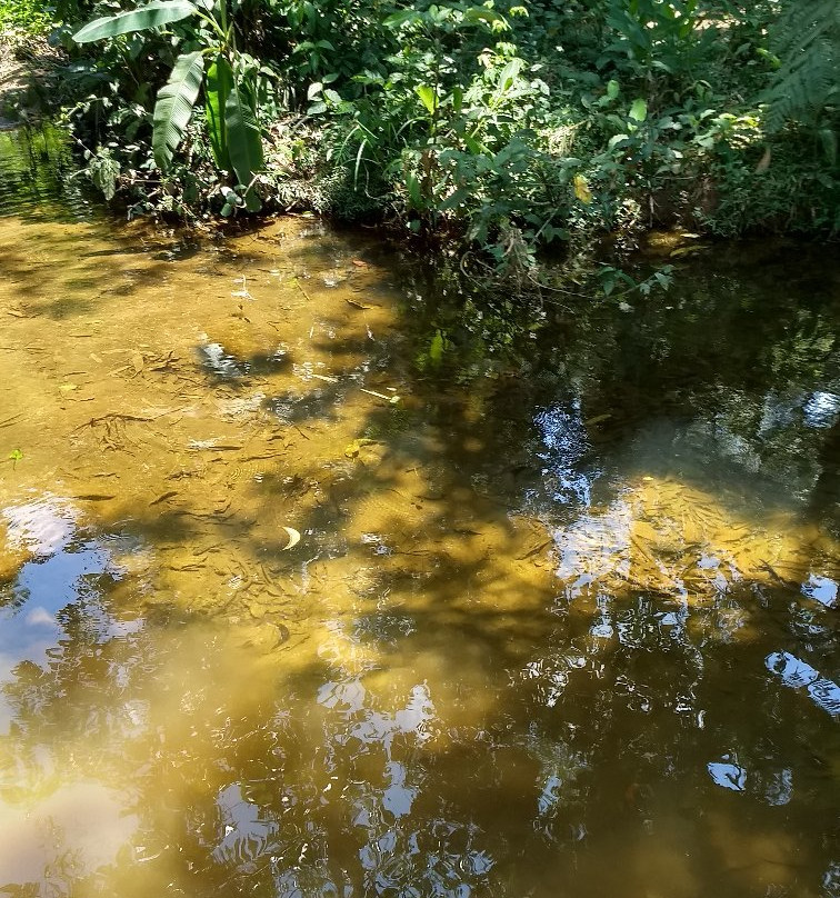 From Penedo Adventure - Mini Fazendinha Para Crianças-Penedo必去景点