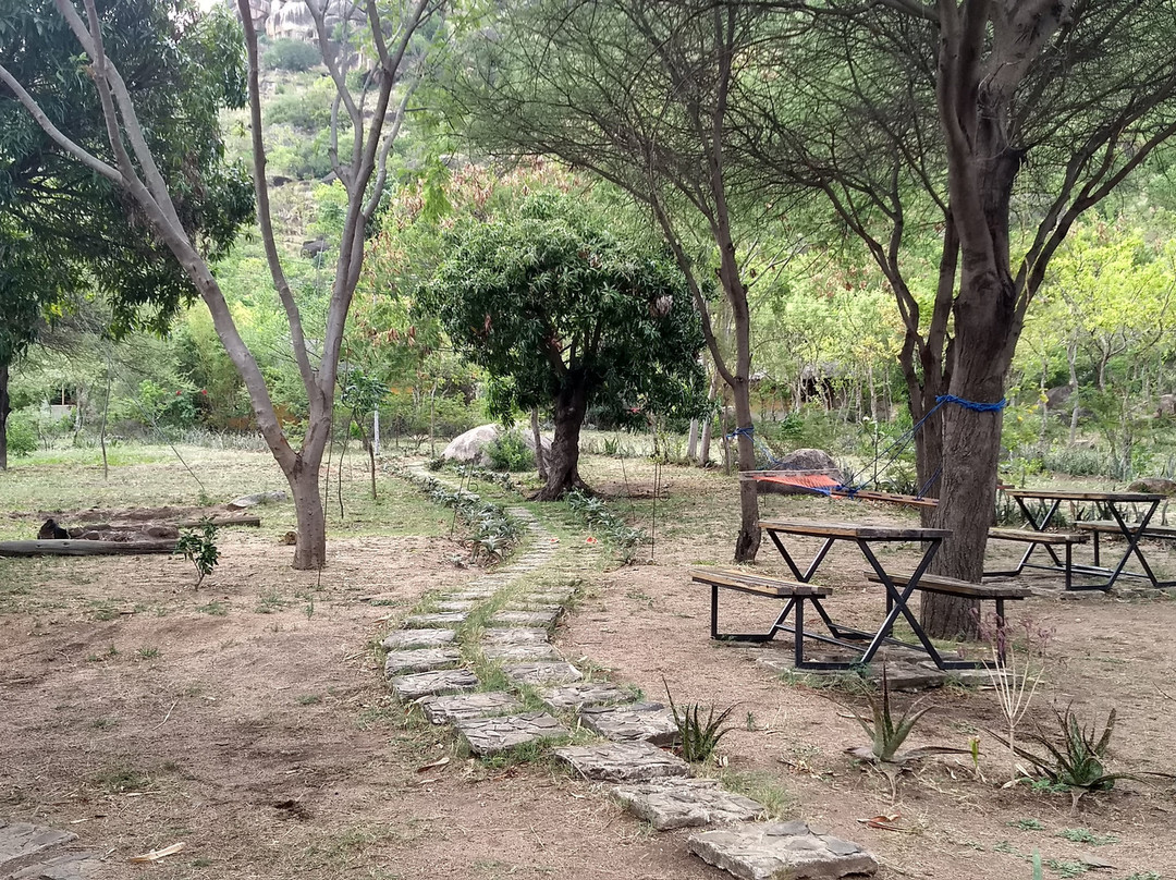 Tembea Mara at Balili Village主图