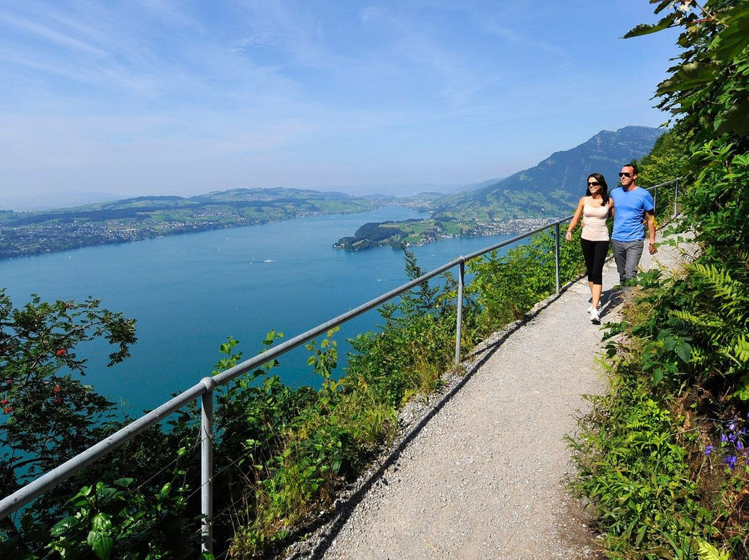 Typically Swiss Tours景点图片