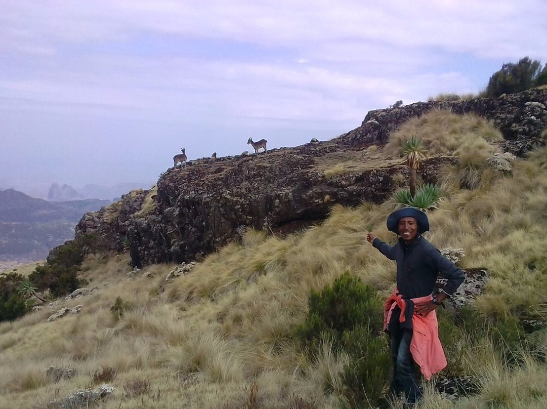 Ethiopia Treks景点图片