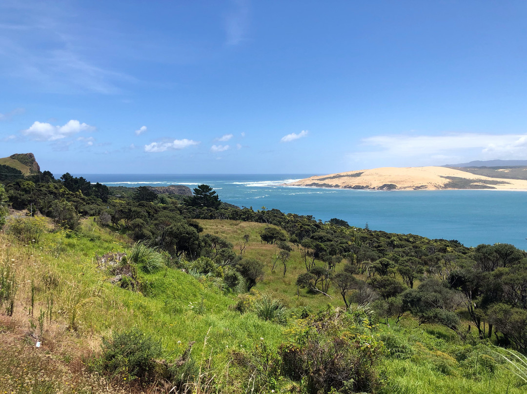 Sandtrails Hokianga-Mitimiti必去景点