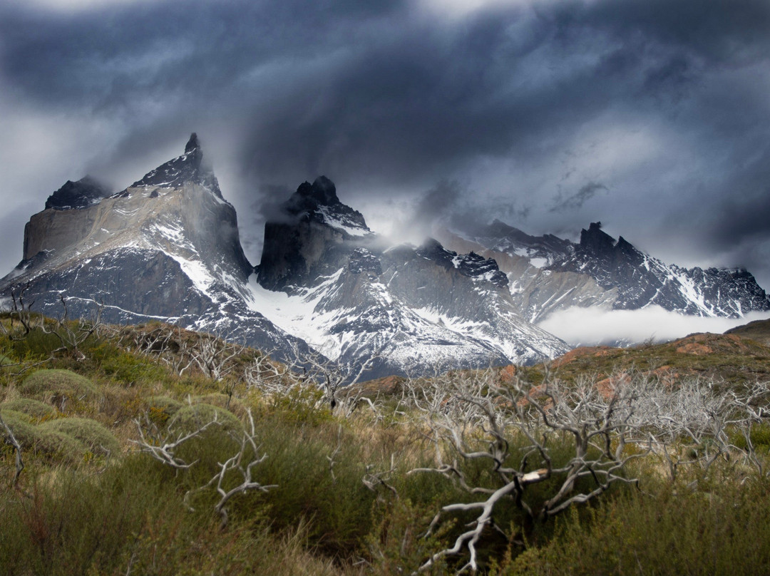 Into the Wild Patagonia Expeditions景点图片