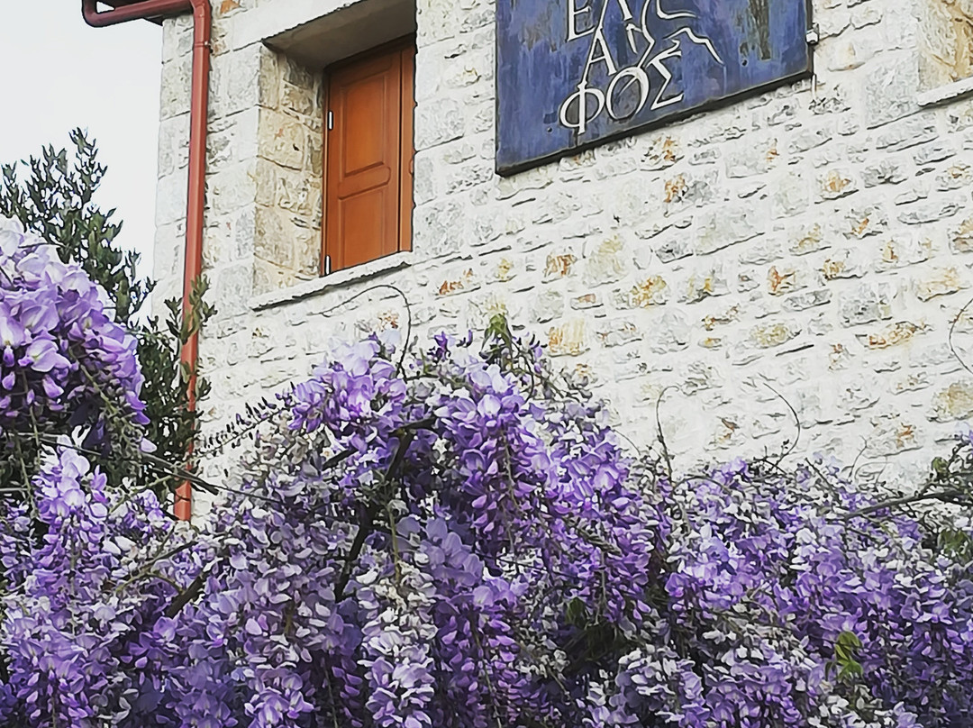 Elafos Spa Hotel主图