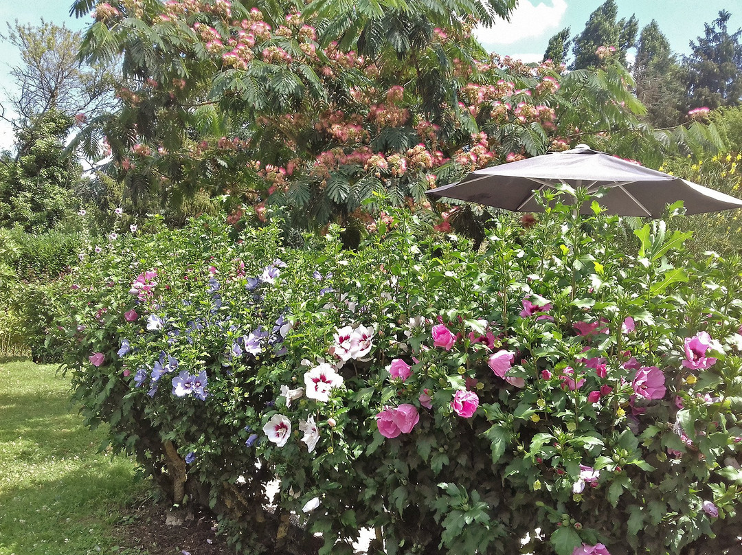 Lussault-sur-Loire酒店住宿-Le Jardin de Josseline