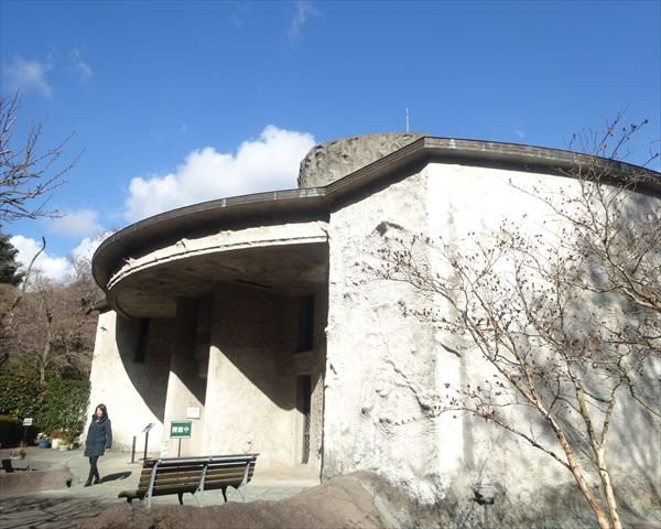 Seiko Sawada Memorial Museum景点图片