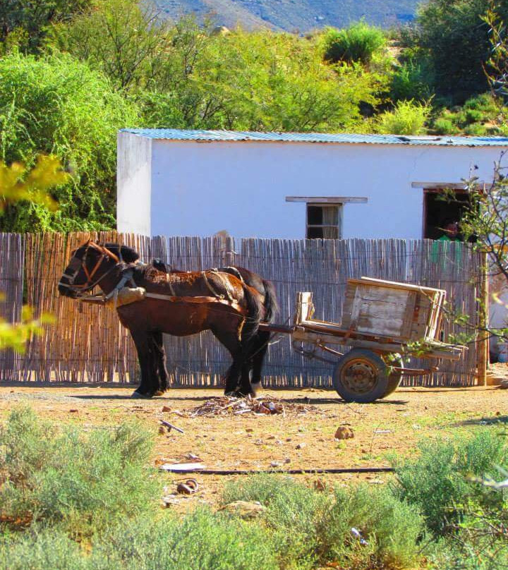 Elandsrus Country Lodge主图