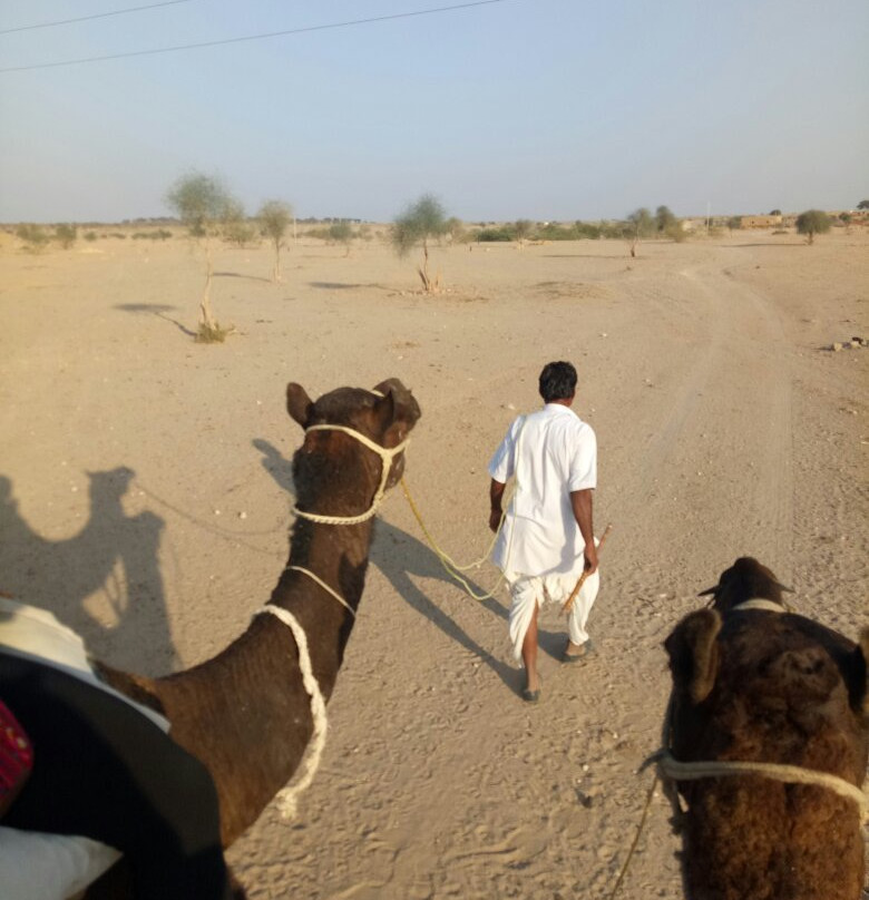 Carpe Diem Desert Safari景点图片