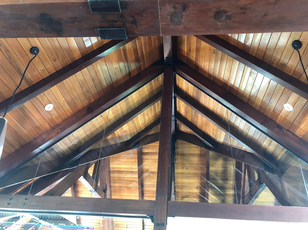 Hacienda La Esperanza-Manati必去景点