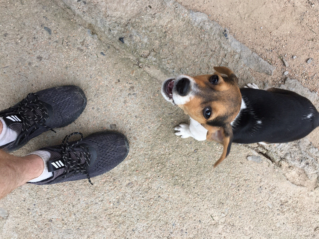 安吉古城遗址-安吉县必去景点