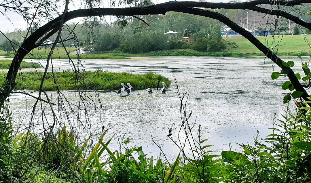Colleges Crossing Recreational Reserve-伊普斯威奇必去景点