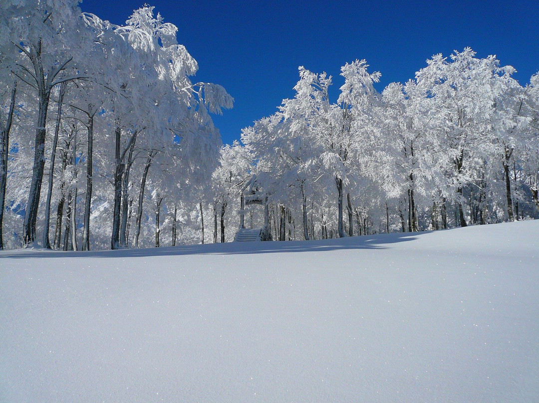Hakuba Iwatake Snow Field景点图片