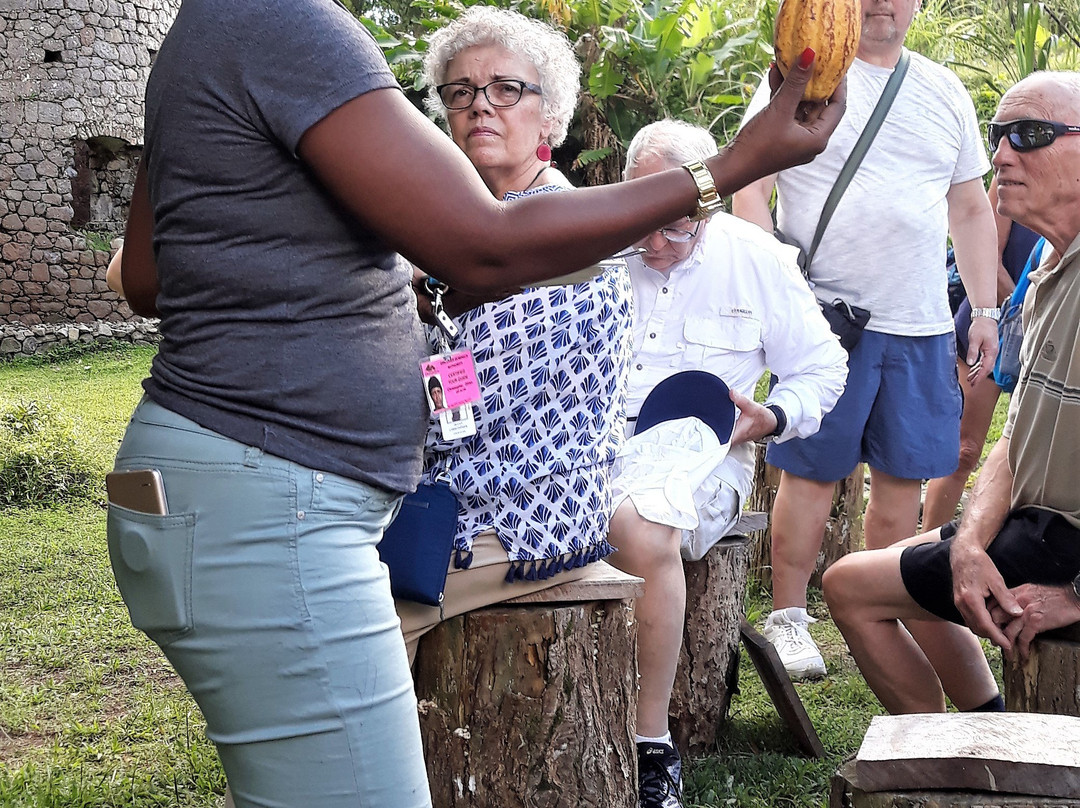 Bois Cotlette Estate-Saint Mark Parish必去景点