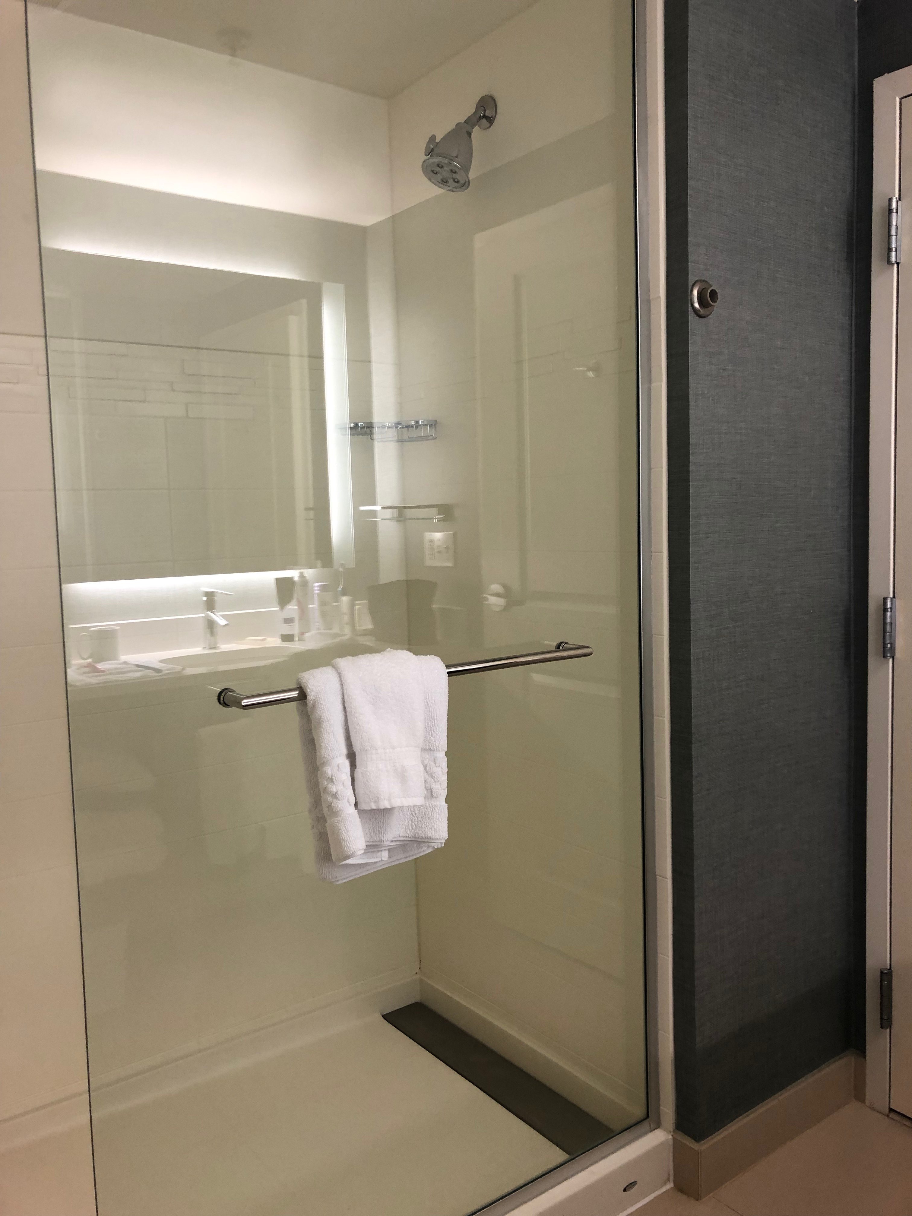RESIDENCE INN EAST LANSING-浴室