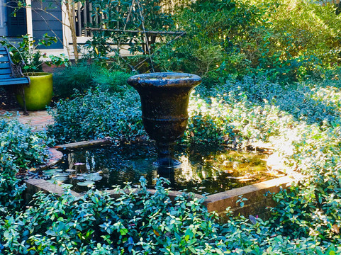 Carolina Heights-威尔明顿必去景点