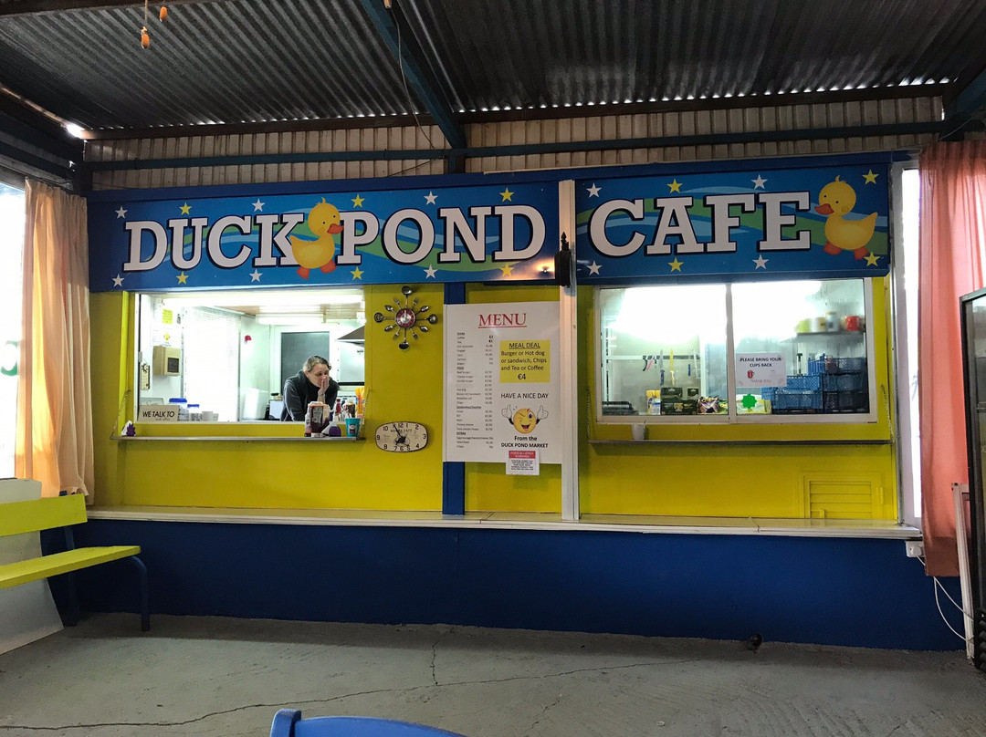 Duck Pond Market景点图片
