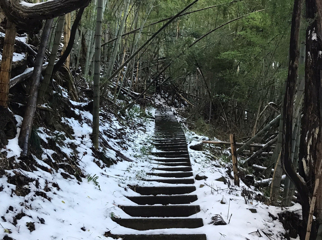 Asuwayama Park-福井市必去景点
