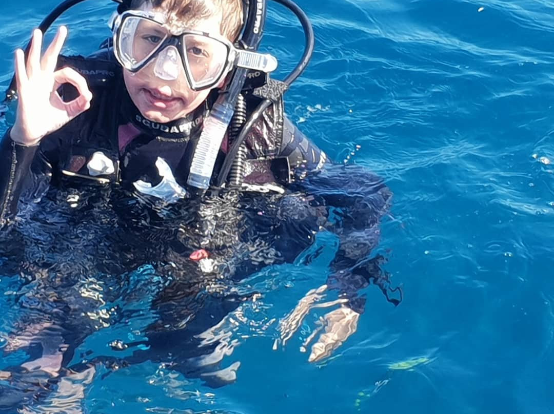 Tweed Sea Sports-堤维德岬必去景点