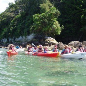 Abel Tasman Independent Guides Sea Kayaking景点图片