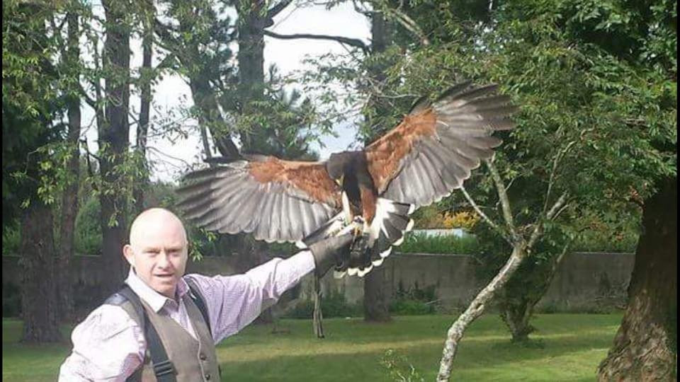 East Coast Falconry-County Wicklow必去景点