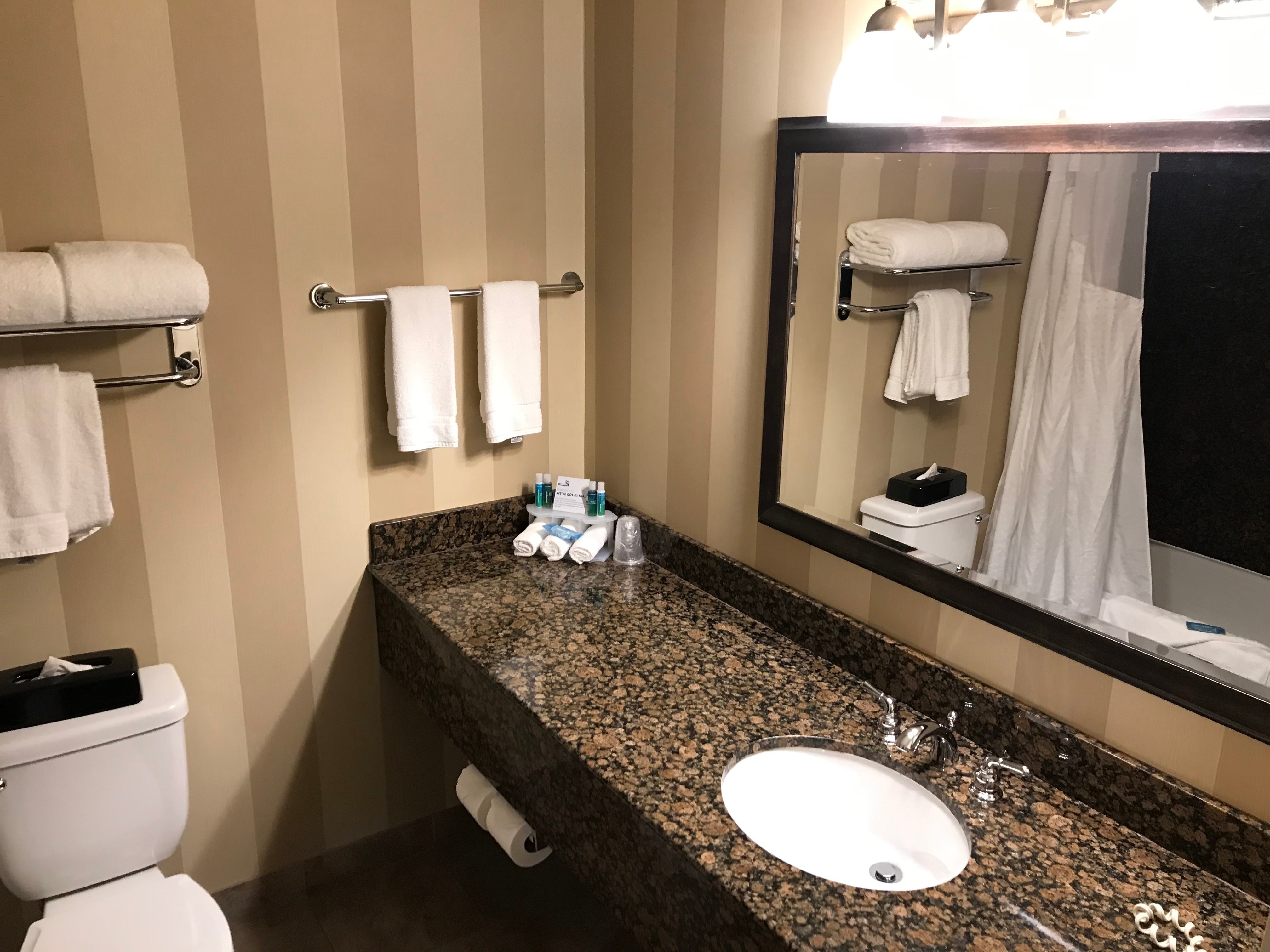 Holiday Inn Express & Suites Seattle North - Lynnwood By IHG-浴室