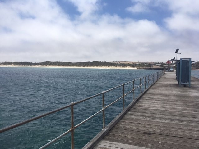 维纳斯湾旅游景点-Elliston Jetty