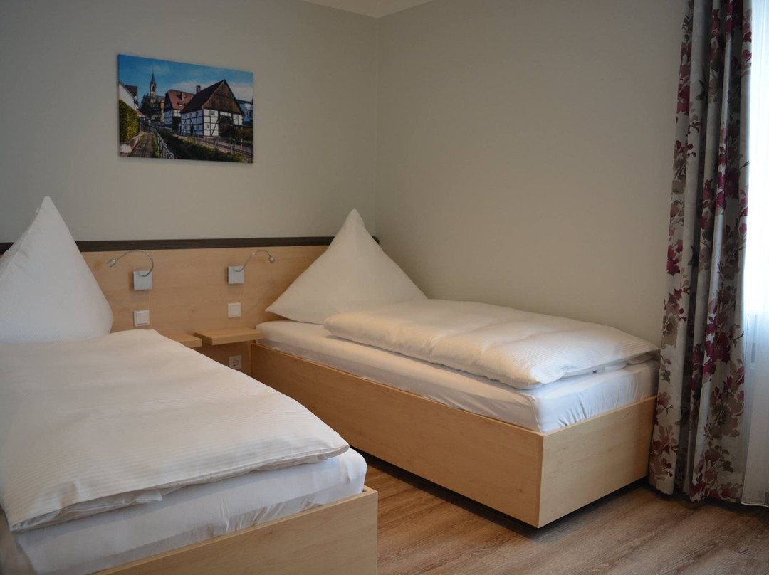 Hotel Gasthof Luis主图