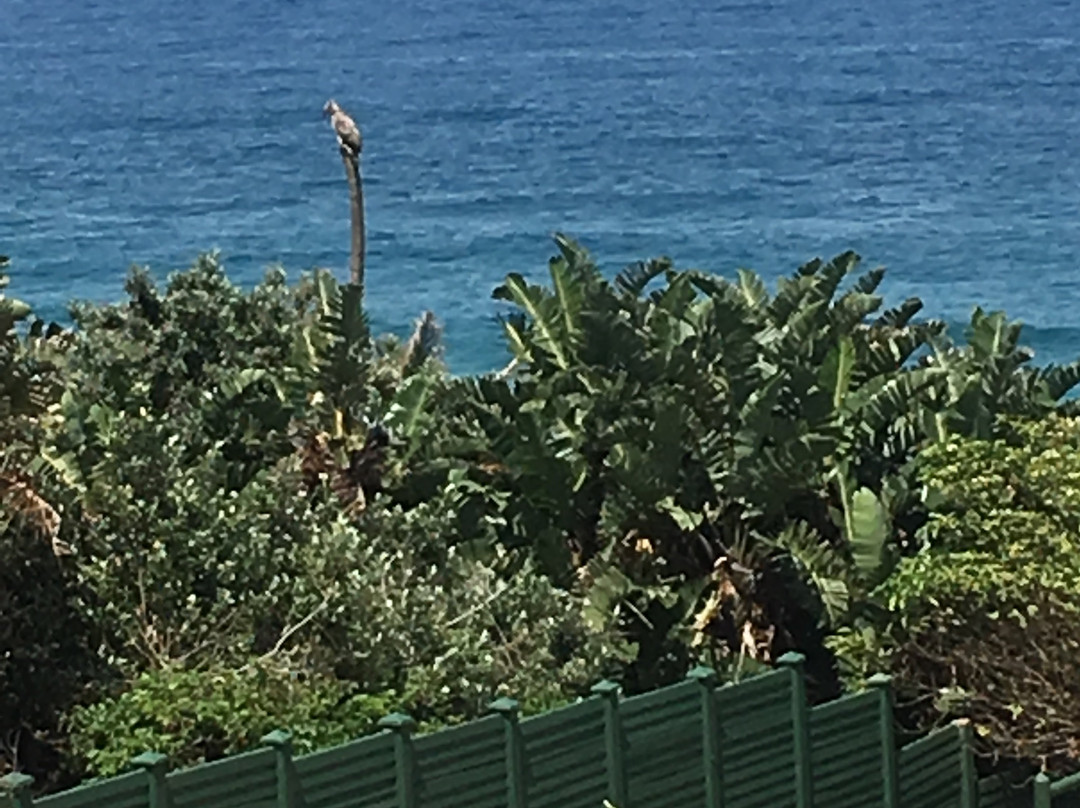 Selborne Park-潘宁顿必去景点