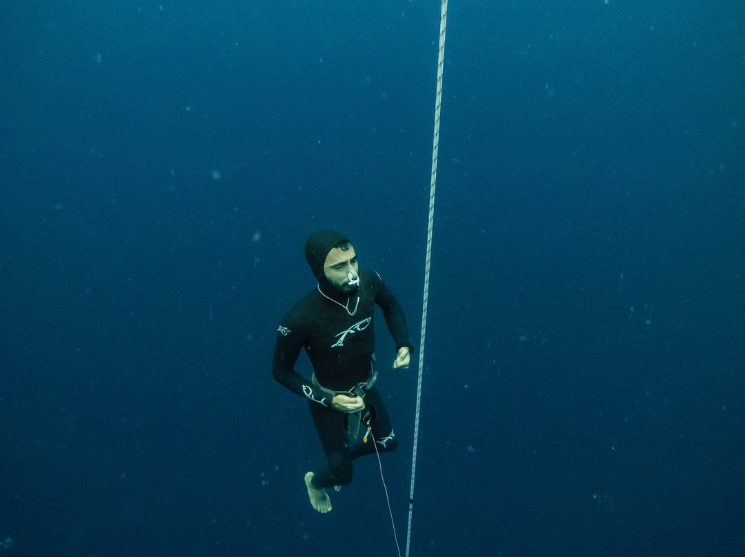 Medfish Freediving景点图片