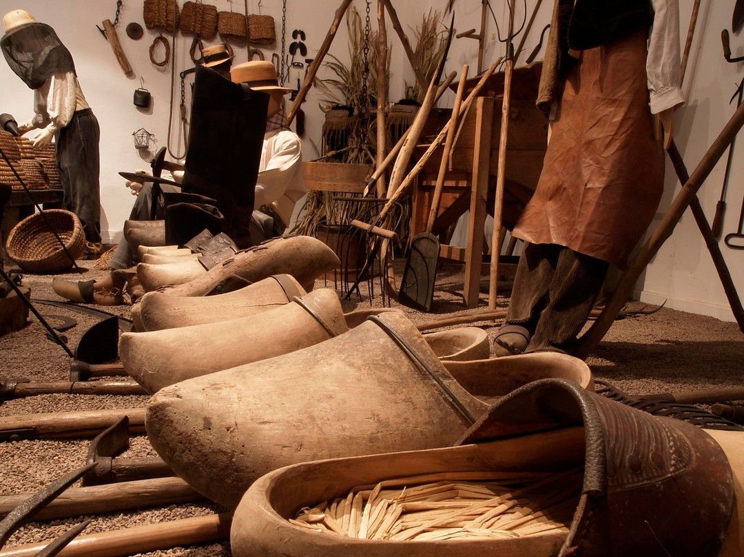 Musee Traditions et Vie devient Vie en Dombes en 1900-Chatillon-sur-Chalaronne必去景点