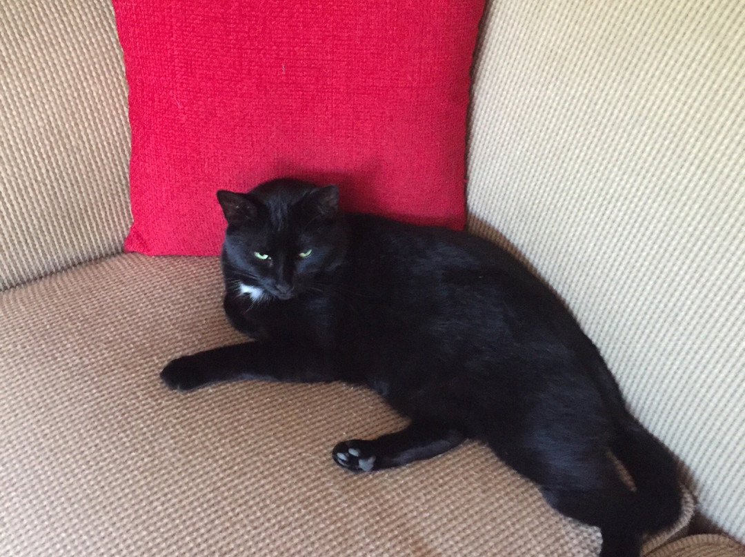 Harmony Place Bed and Breakfast主图