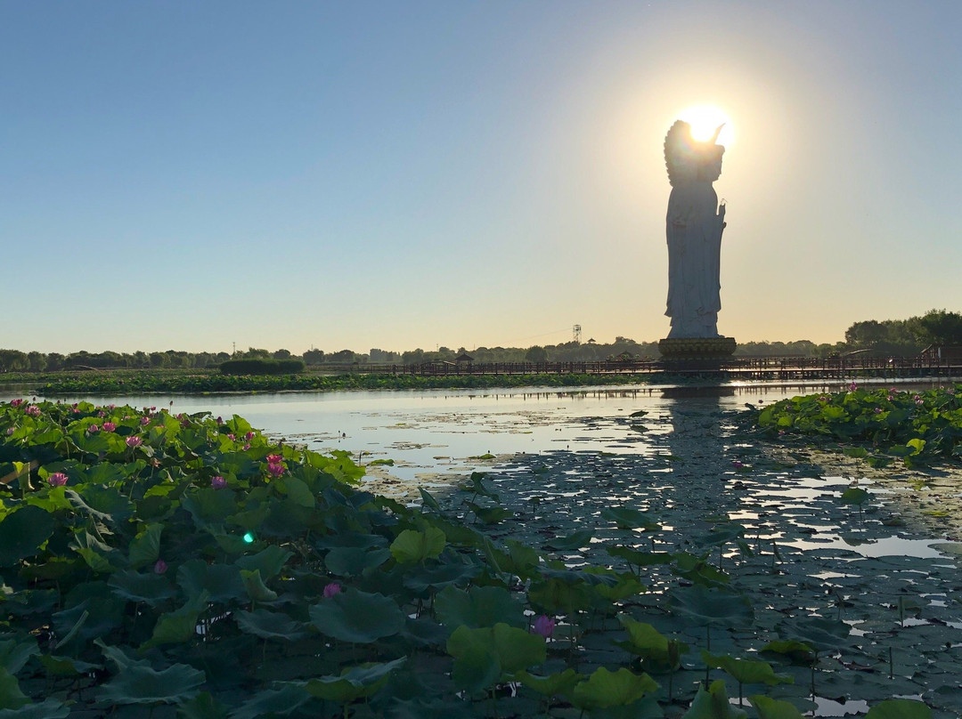 白洋淀荷花大观园-安新县必去景点