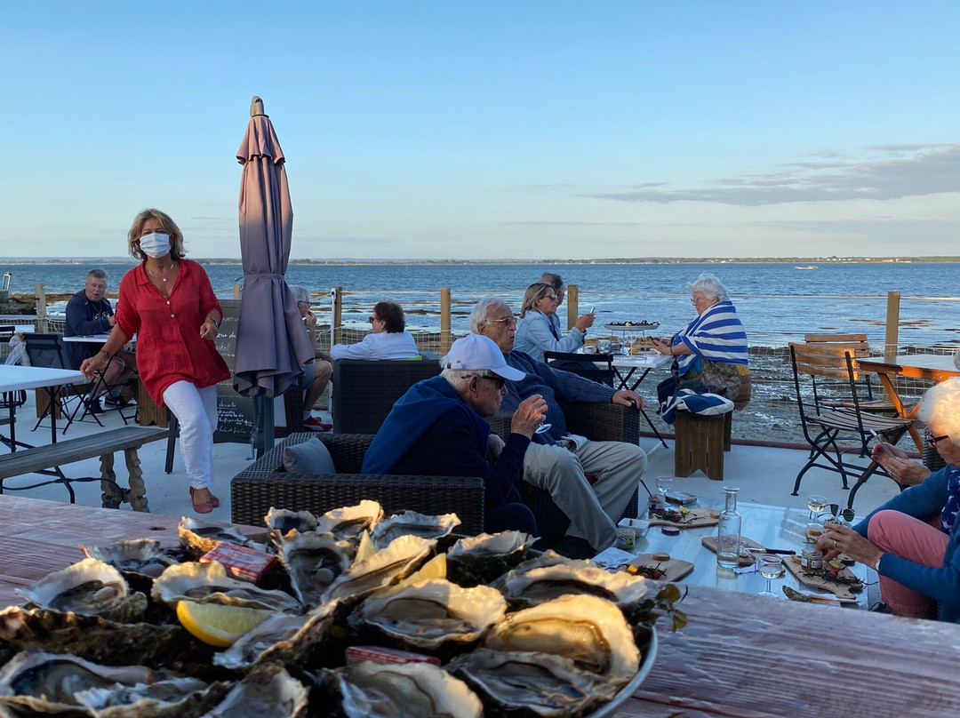 La Nurserie Du Golfe