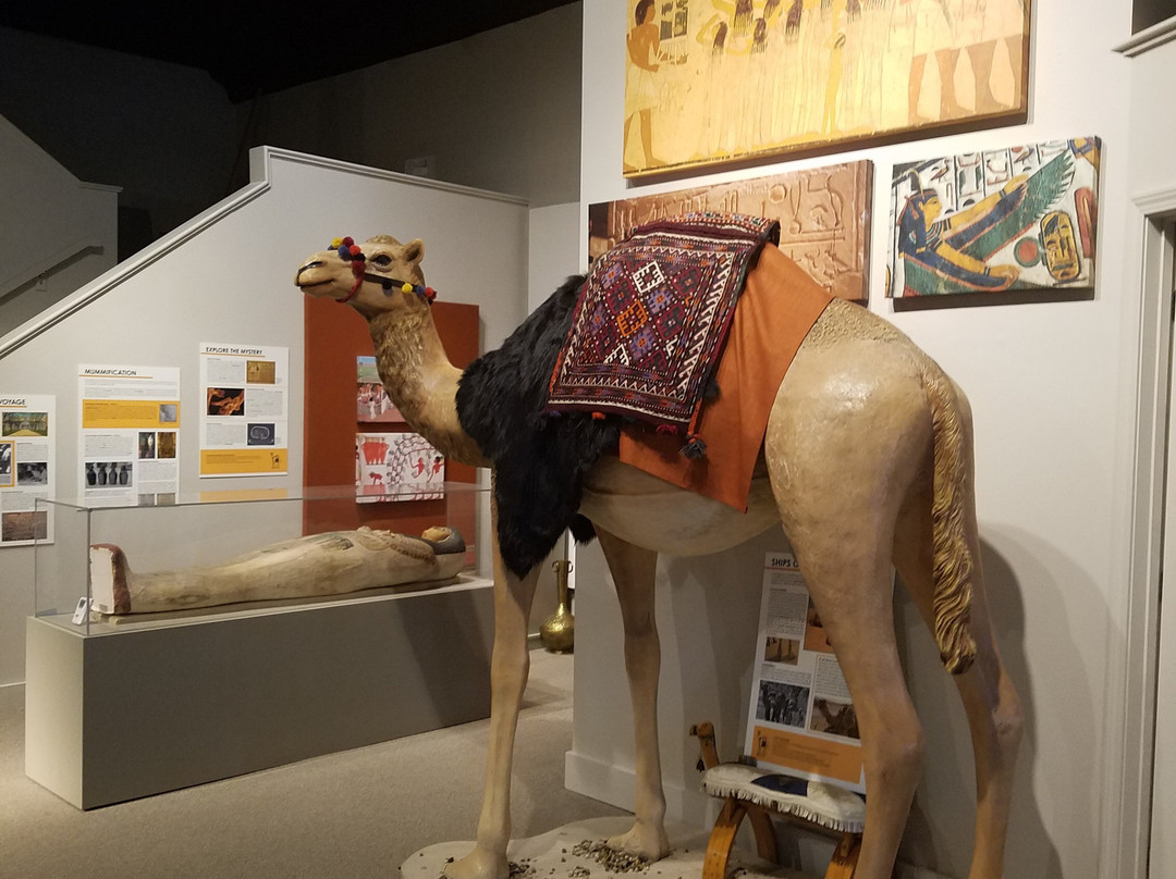 Iredell Museums景点图片