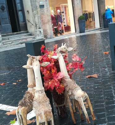 Piazza Minghetti-博洛尼亚必去景点