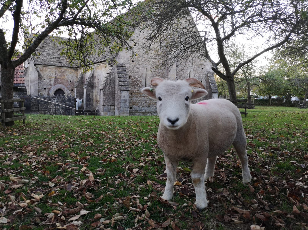 Somerset Rural Life Museum景点图片