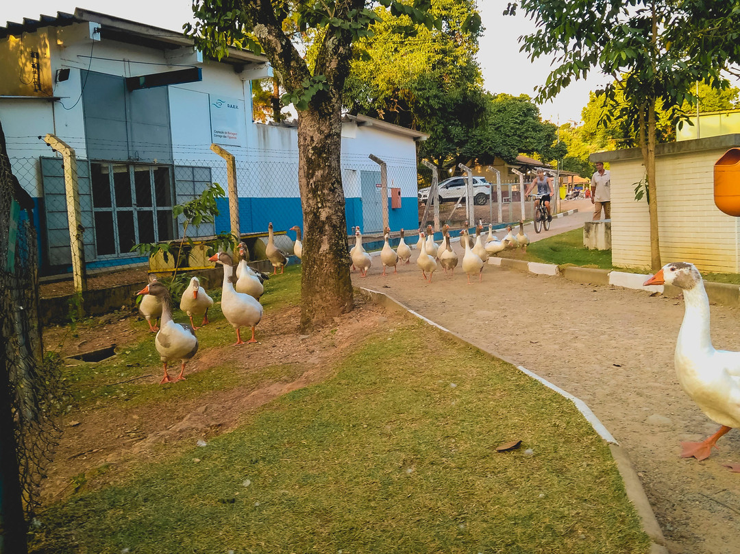 Centro de Lazer do Trabalhador-Valinhos必去景点