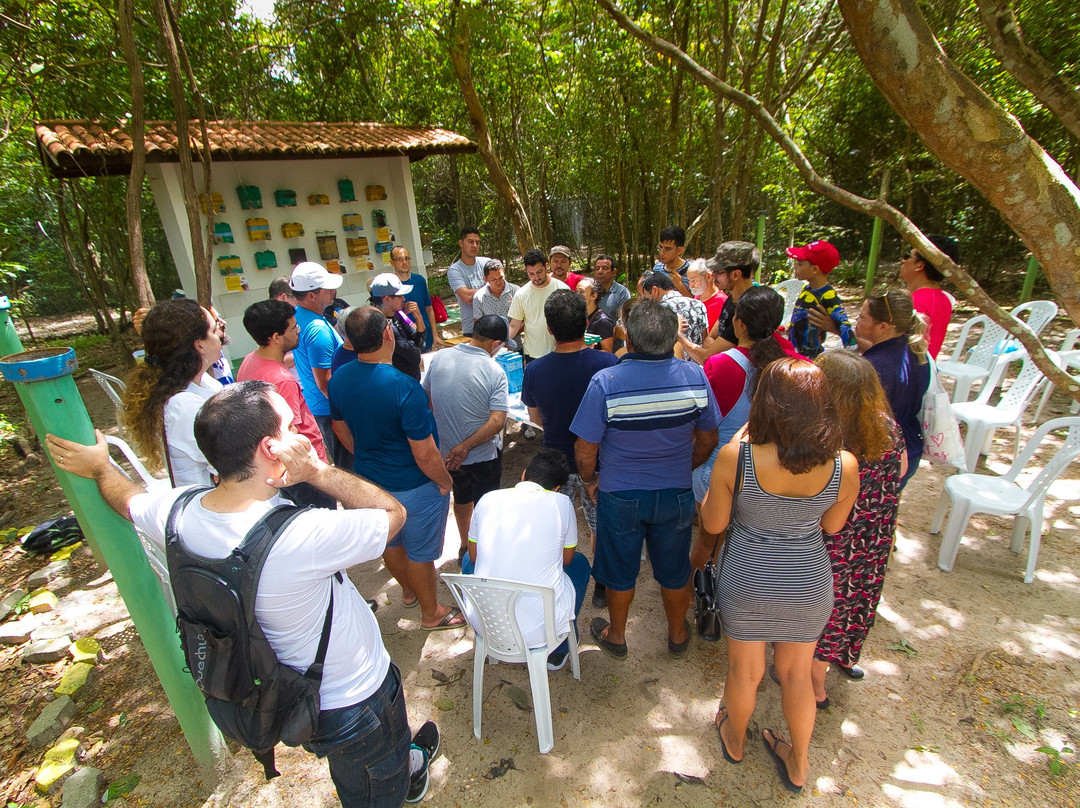 Ceara Botanical Park-Caucaia必去景点
