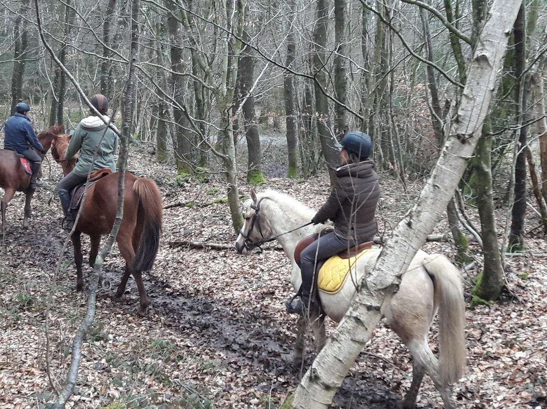 Le Centre Equestre de Sainte Gauburge景点图片